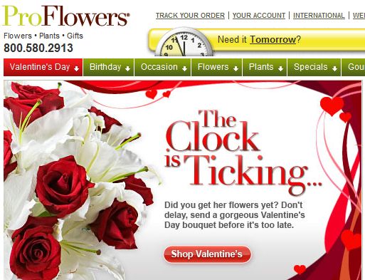 Alice Walker The Flowers Wholesale Flowers In Ny
