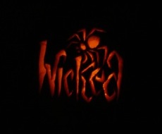 wicked pumpkin