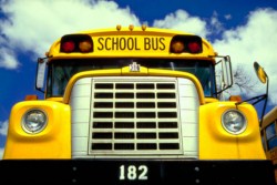 school bus