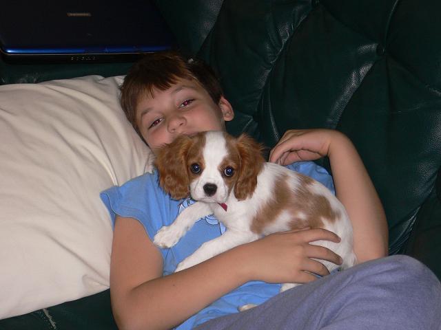 boy_and_his_dog