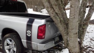 truck_and_tree2